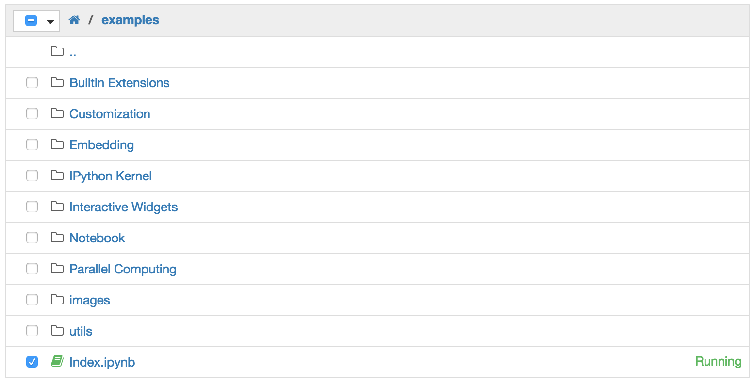 Jupyter dashboard showing one notebook with a running kernel